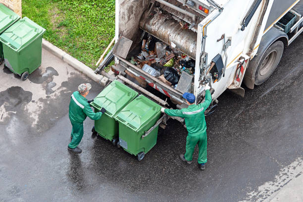 Yard Cleanup Services in Alta, IA