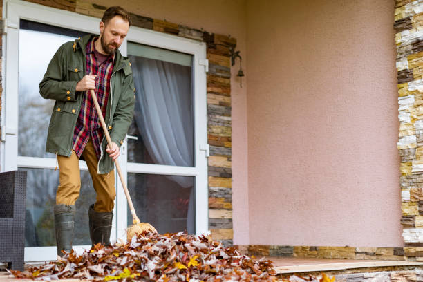 Professional Junk Removal in Alta, IA